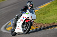 PJ-Motorsport-2019;anglesey-no-limits-trackday;anglesey-photographs;anglesey-trackday-photographs;enduro-digital-images;event-digital-images;eventdigitalimages;no-limits-trackdays;peter-wileman-photography;racing-digital-images;trac-mon;trackday-digital-images;trackday-photos;ty-croes